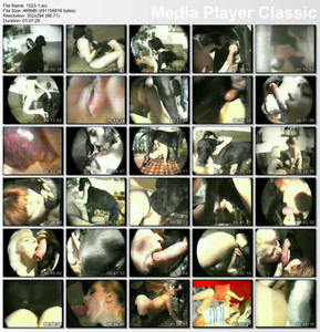 free sex bestiality download
