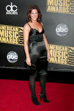 Sarah McLachlan @ 2008 American Music Awards