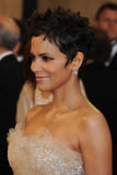 http://img188.imagevenue.com/loc117/th_63853_celebrity_paradise.com_TheElder_HalleBerry84_122_117lo.jpg