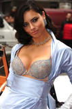 http://img188.imagevenue.com/loc35/th_49567_AdrianaLima_vs_bombshell_fantasy_bra_launch_250_122_35lo.jpg