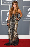 http://img188.imagevenue.com/loc473/th_54610_MileyCyrus_53rdannualGrammyAwardsinLosAngelesFeb132011_By_oTTo10_122_473lo.JPG