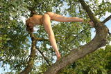 Alizeya A - Tree Monkey 2 -h4hkj4uugi.jpg